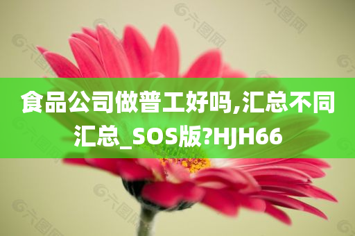 食品公司做普工好吗,汇总不同汇总_SOS版?HJH66