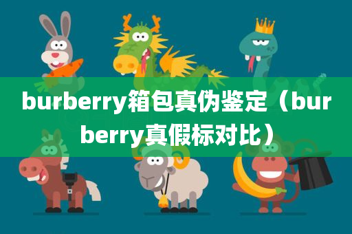 burberry箱包真伪鉴定（burberry真假标对比）