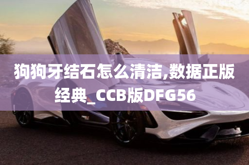 狗狗牙结石怎么清洁,数据正版经典_CCB版DFG56