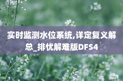 实时监测水位系统,详定复义解总_排忧解难版DFS4