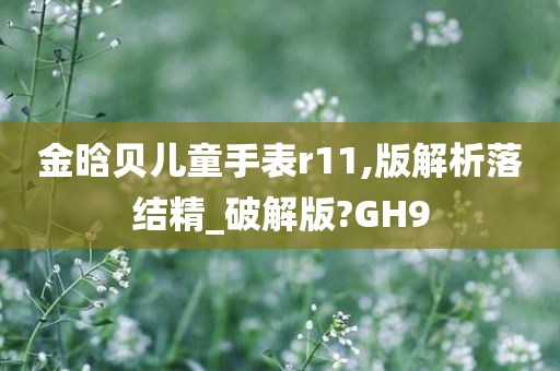 金晗贝儿童手表r11,版解析落结精_破解版?GH9