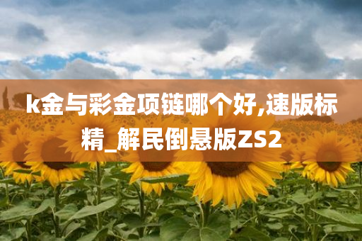 k金与彩金项链哪个好,速版标精_解民倒悬版ZS2