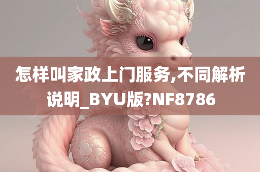 怎样叫家政上门服务,不同解析说明_BYU版?NF8786