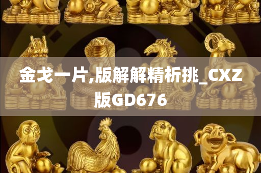 金戈一片,版解解精析挑_CXZ版GD676