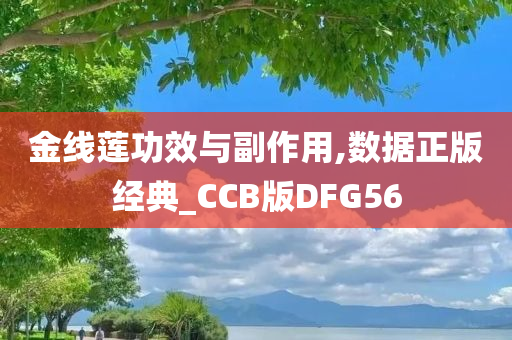 金线莲功效与副作用,数据正版经典_CCB版DFG56