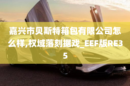 嘉兴市贝斯特箱包有限公司怎么样,权域落刻据戏_EEF版RE35