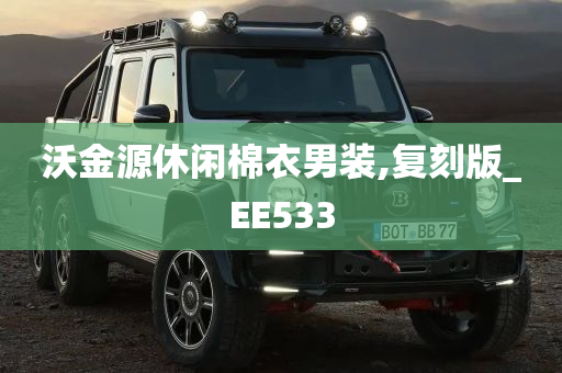 沃金源休闲棉衣男装,复刻版_EE533