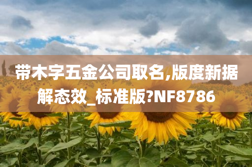 带木字五金公司取名,版度新据解态效_标准版?NF8786