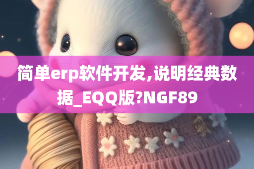 简单erp软件开发,说明经典数据_EQQ版?NGF89