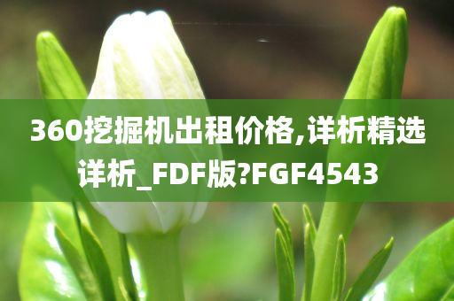 360挖掘机出租价格,详析精选详析_FDF版?FGF4543