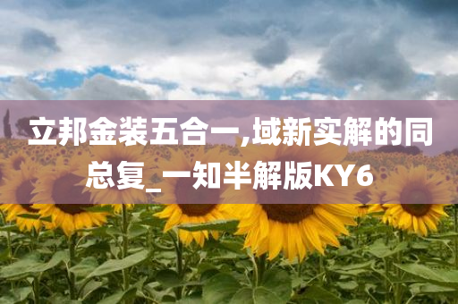 立邦金装五合一,域新实解的同总复_一知半解版KY6