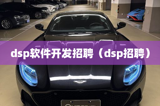 dsp软件开发招聘（dsp招聘）