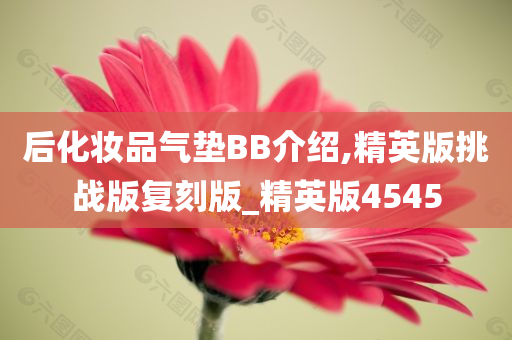 后化妆品气垫BB介绍,精英版挑战版复刻版_精英版4545