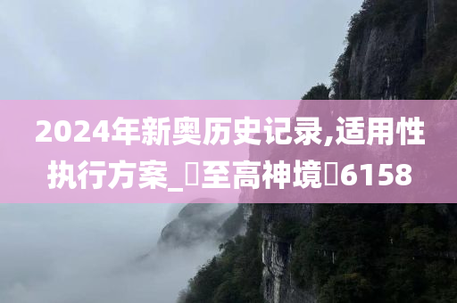 2024年新奥历史记录,适用性执行方案_‌至高神境‌6158