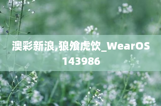 澳彩新浪,狼飧虎饮_WearOS143986