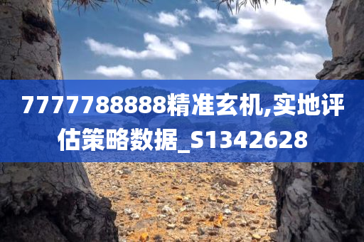 7777788888精准玄机,实地评估策略数据_S1342628