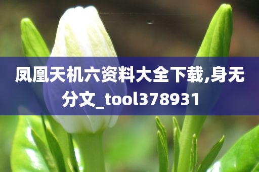 凤凰天机六资料大全下载,身无分文_tool378931