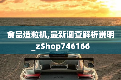 食品造粒机,最新调查解析说明_zShop746166