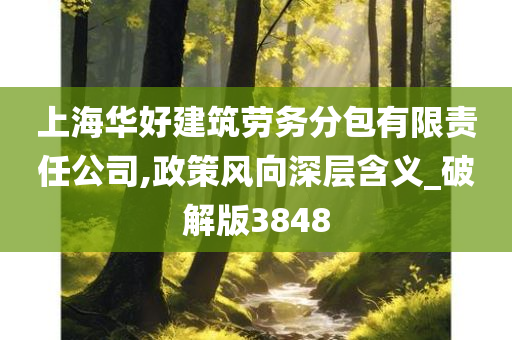 上海华好建筑劳务分包有限责任公司,政策风向深层含义_破解版3848