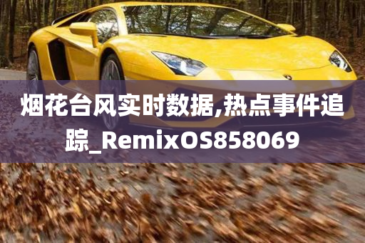 烟花台风实时数据,热点事件追踪_RemixOS858069