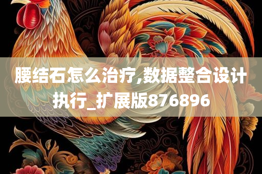 腰结石怎么治疗,数据整合设计执行_扩展版876896