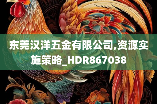 东莞汉洋五金有限公司,资源实施策略_HDR867038