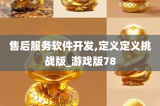 售后服务软件开发,定义定义挑战版_游戏版78