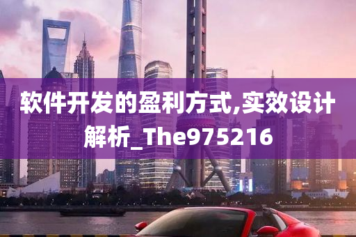 软件开发的盈利方式,实效设计解析_The975216