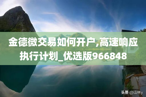 金德微交易如何开户,高速响应执行计划_优选版966848