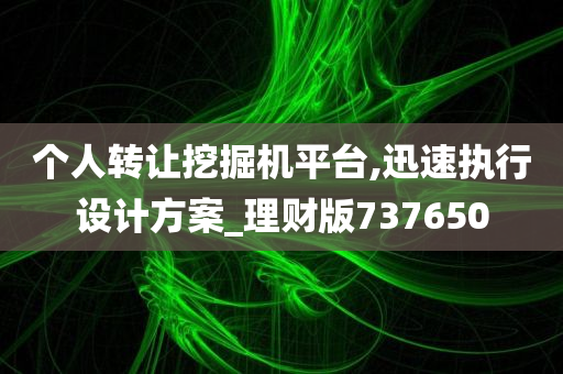 个人转让挖掘机平台,迅速执行设计方案_理财版737650