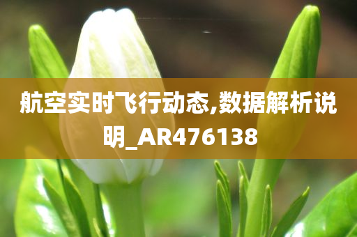 航空实时飞行动态,数据解析说明_AR476138