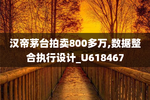 汉帝茅台拍卖800多万,数据整合执行设计_U618467