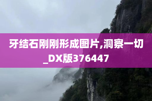 牙结石刚刚形成图片,洞察一切_DX版376447