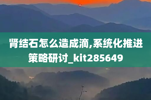 肾结石怎么造成滴,系统化推进策略研讨_kit285649