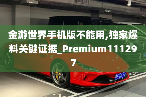 金游世界手机版不能用,独家爆料关键证据_Premium111297