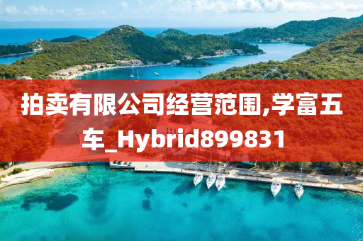 拍卖有限公司经营范围,学富五车_Hybrid899831