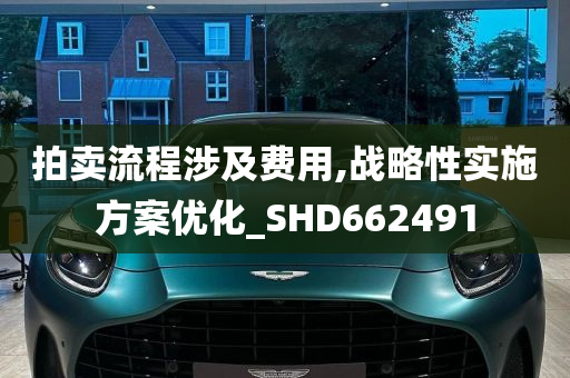 拍卖流程涉及费用,战略性实施方案优化_SHD662491