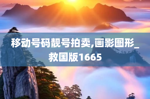 移动号码靓号拍卖,画影图形_救国版1665