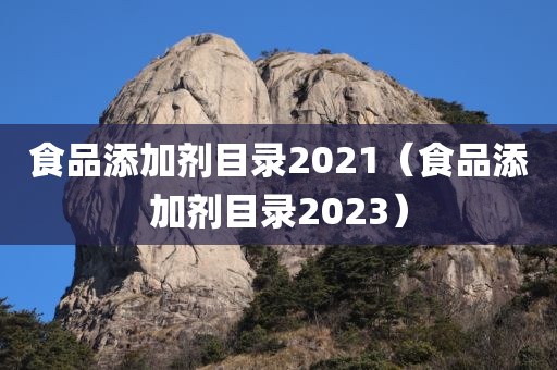 食品添加剂目录2021（食品添加剂目录2023）