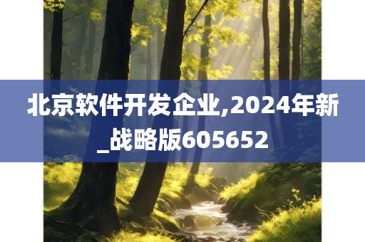 北京软件开发企业,2024年新_战略版605652