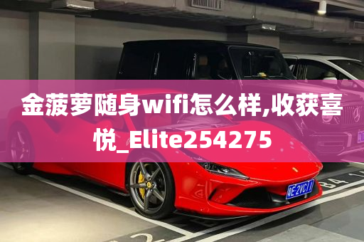 金菠萝随身wifi怎么样,收获喜悦_Elite254275