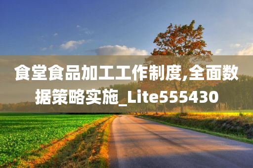 食堂食品加工工作制度,全面数据策略实施_Lite555430