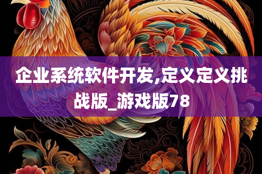 企业系统软件开发,定义定义挑战版_游戏版78