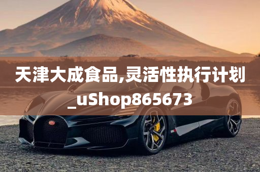 天津大成食品,灵活性执行计划_uShop865673