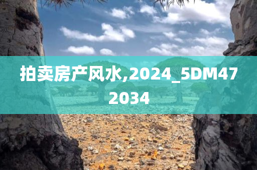 拍卖房产风水,2024_5DM472034