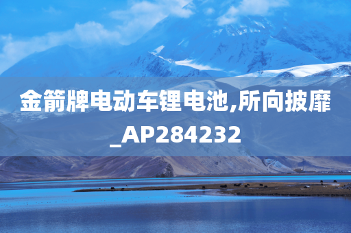 金箭牌电动车锂电池,所向披靡_AP284232