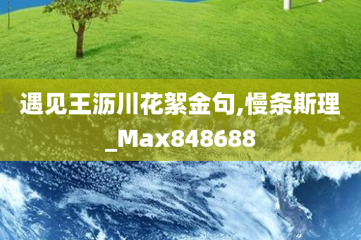 遇见王沥川花絮金句,慢条斯理_Max848688