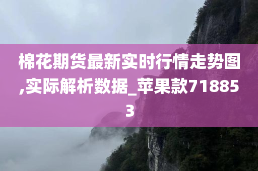 棉花期货最新实时行情走势图,实际解析数据_苹果款718853