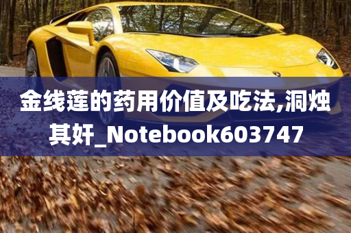 金线莲的药用价值及吃法,洞烛其奸_Notebook603747