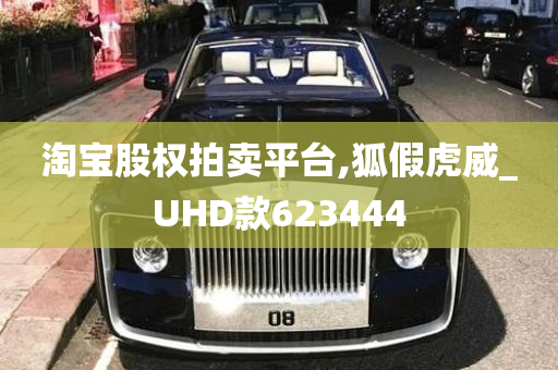 淘宝股权拍卖平台,狐假虎威_UHD款623444